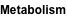 shapeimage_3_link_1